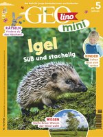 GEOmini